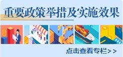 重要政策舉措及實施效果
